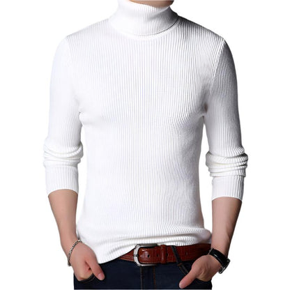 Men's Ribbed Plain Highneck